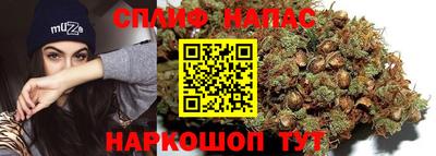 дурь Дубна